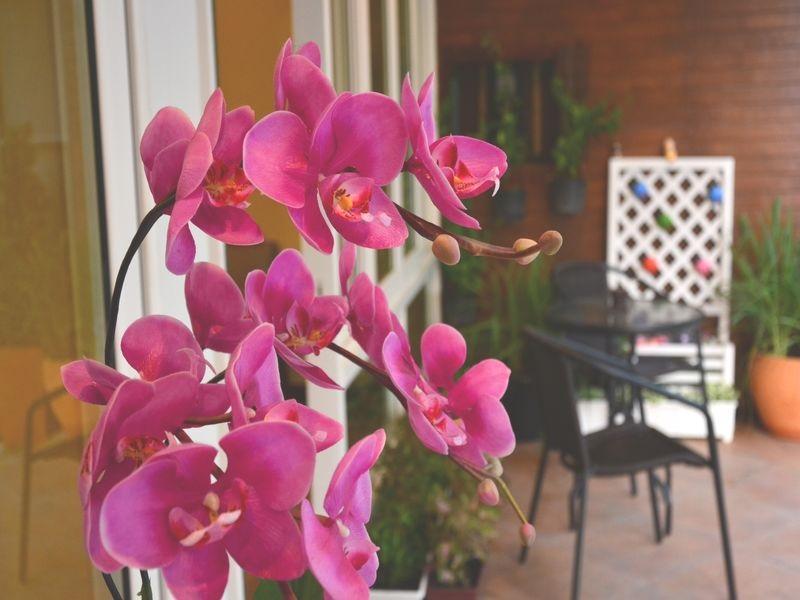 Seedling House Pattaya Buitenkant foto