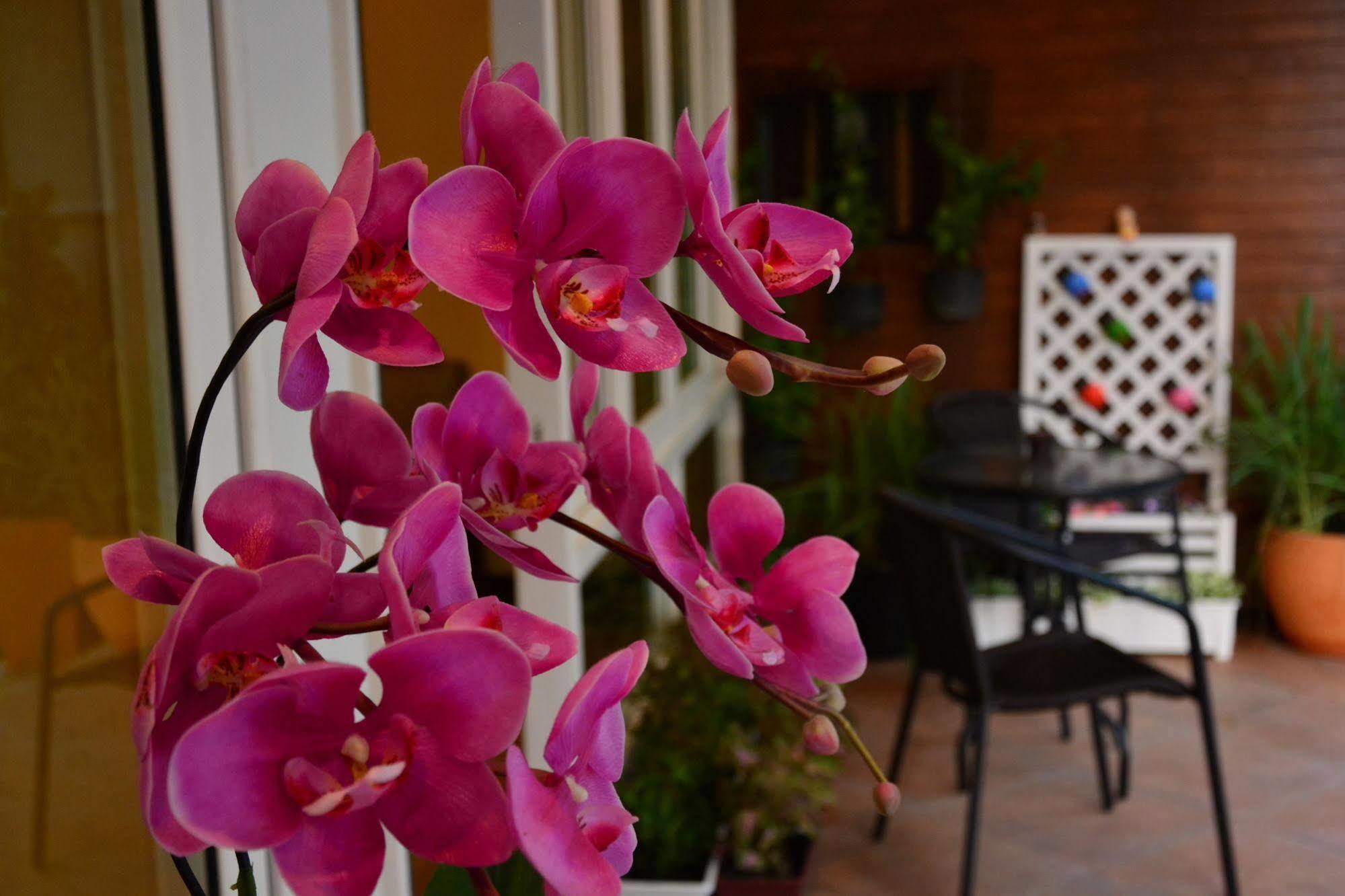 Seedling House Pattaya Buitenkant foto